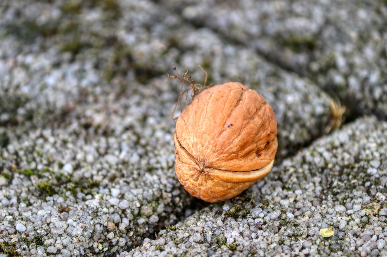 Safety Measures for Allergy Sufferers